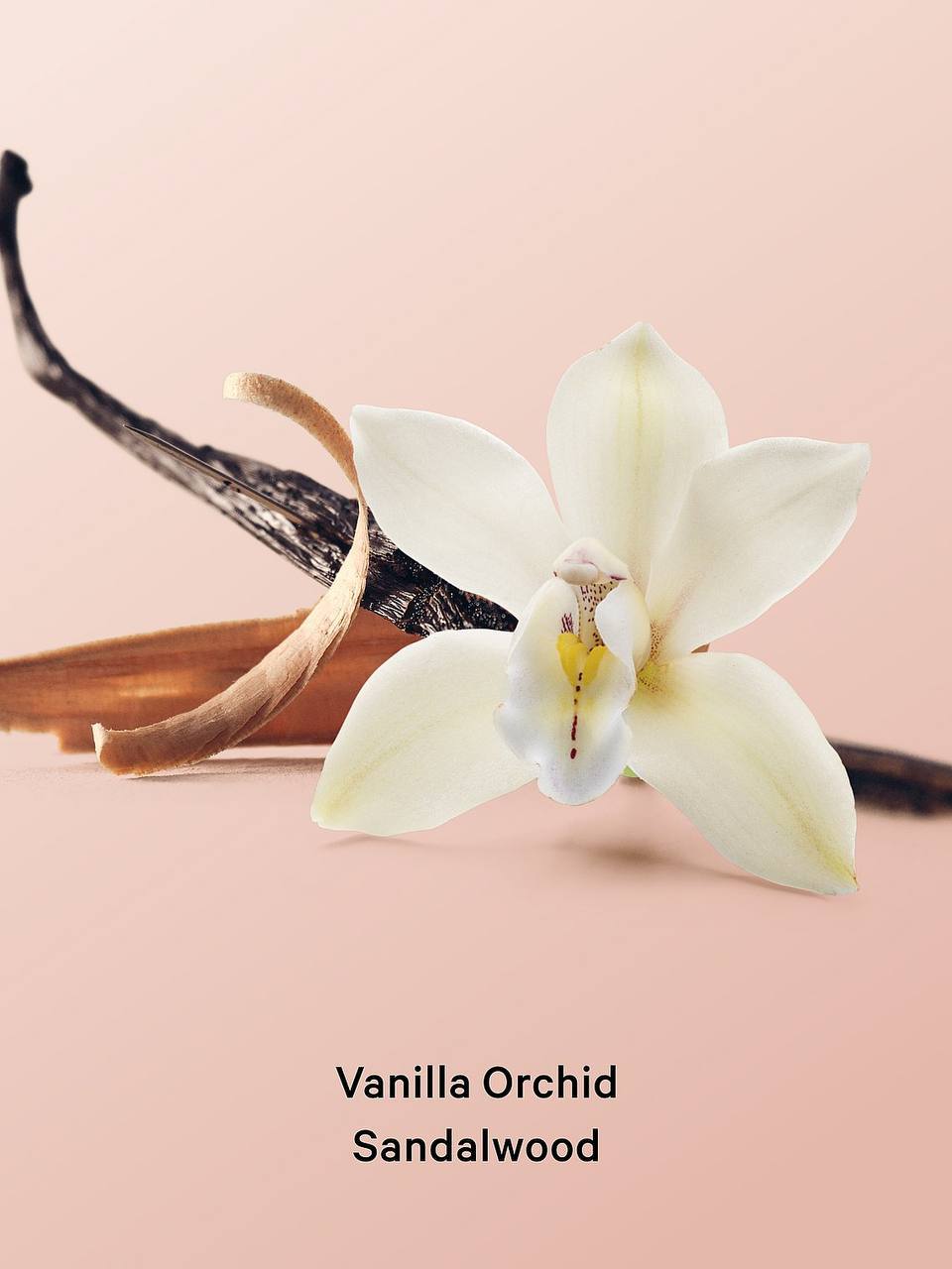 نمای نزدیک بطری اسپری بدن و موی Vanilla Orchid Sandalwood ویکتوریا سکرت