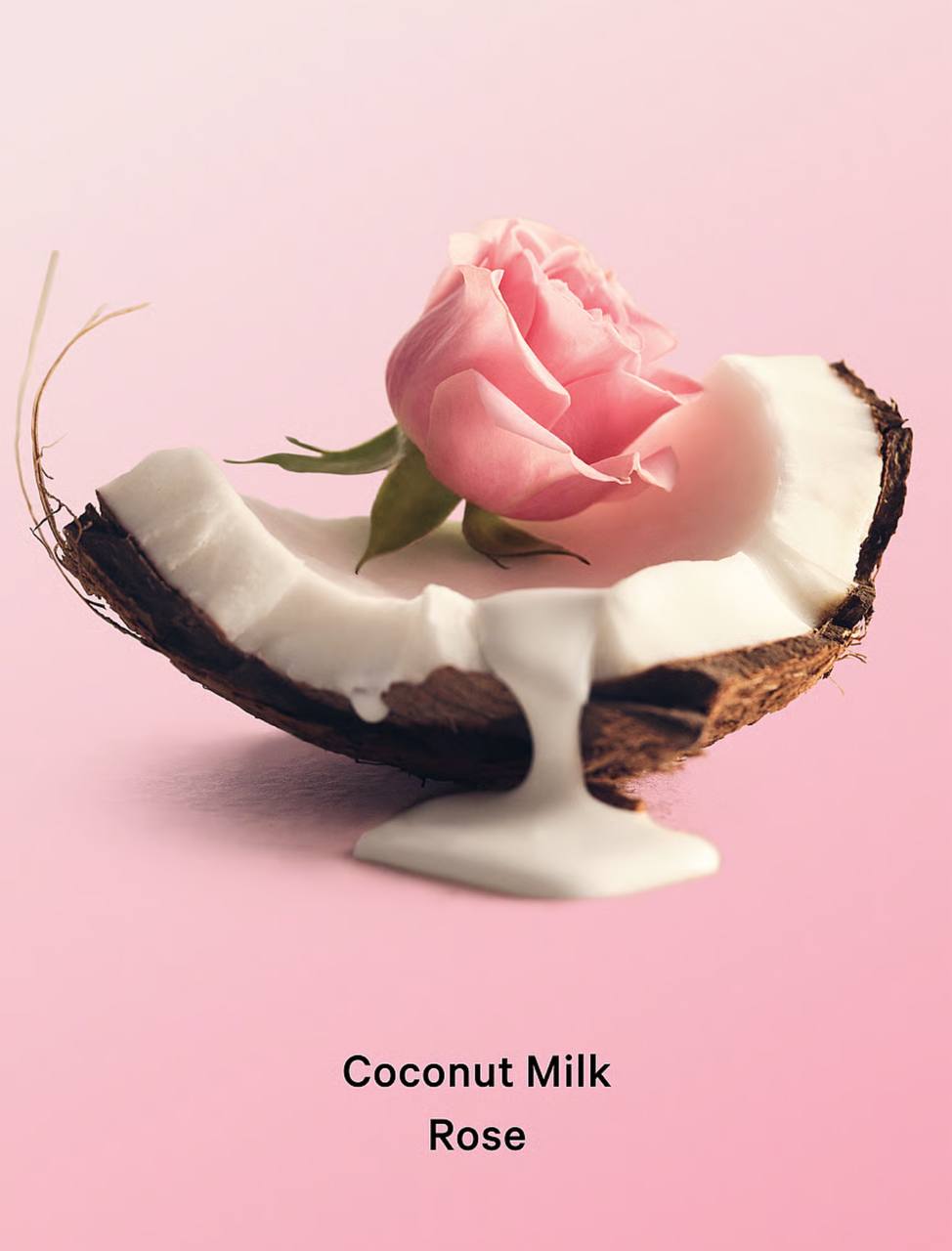 نمای نزدیک از رنگ و قوام اسکراب بدن Coconut Milk Rose ویکتوریا سکرت