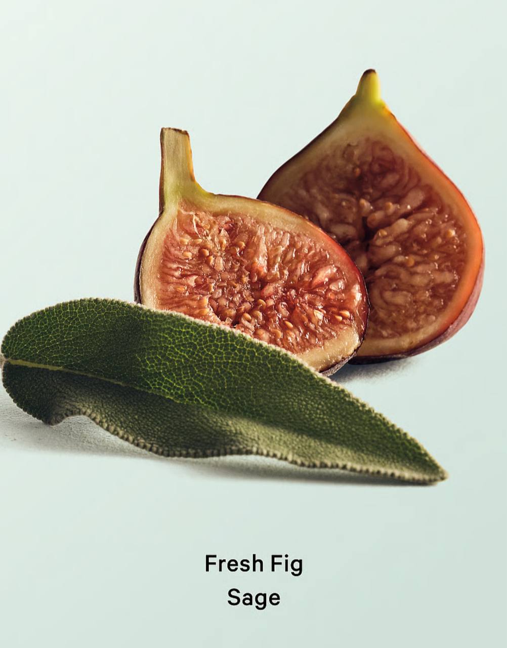 بادی لوشن Fresh Fig Sage ویکتوریا سکرت، جزئیات بسته‌بندی اصلی و مهروموم برند