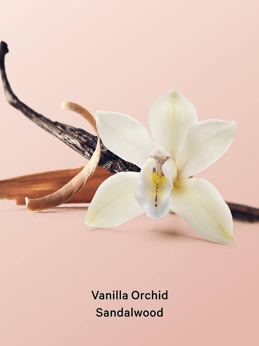 روغن بدن Vanilla Orchid Sandalwood ویکتوریا سکرت، نمای نزدیک برچسب و رنگ روغن