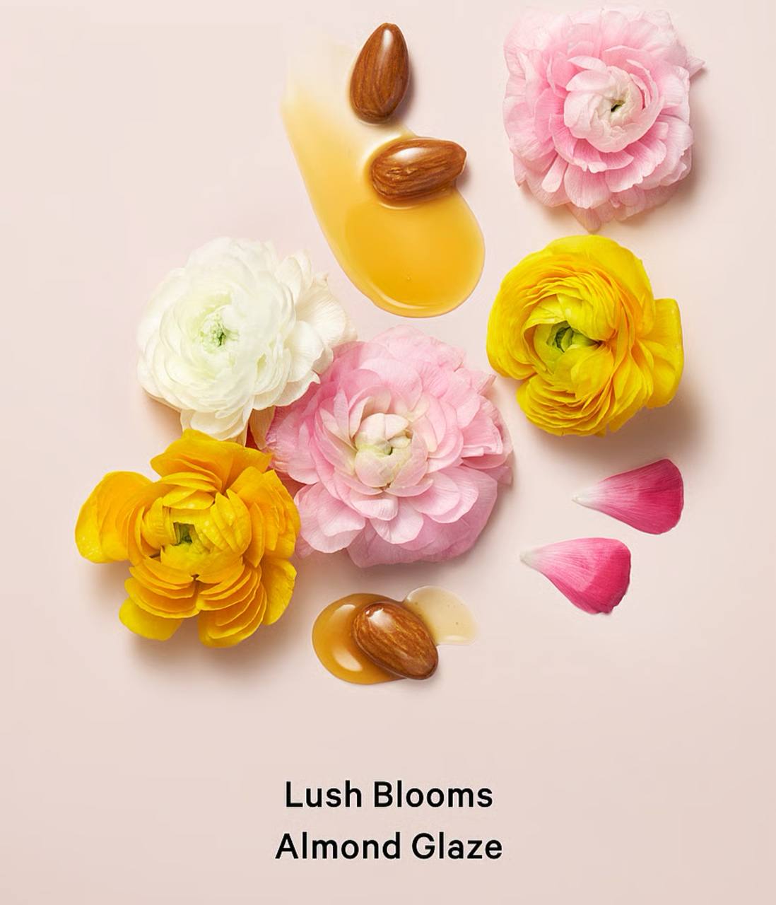لوسیون بدن Velvet Petal ویکتوریا سکرت کنار برچسب حجم ۲۳۶ میلی‌لیتر روی بدنه
