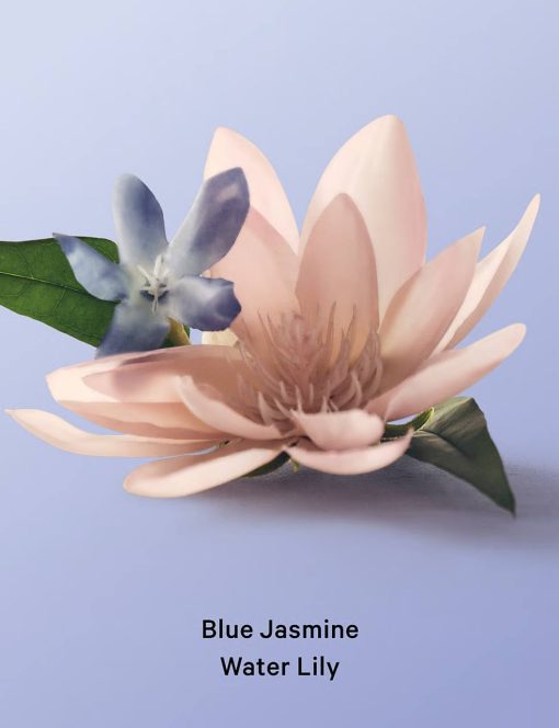 بادی لوشن blue jasmine water lily ویکتوریا سکرت - تصویر 2