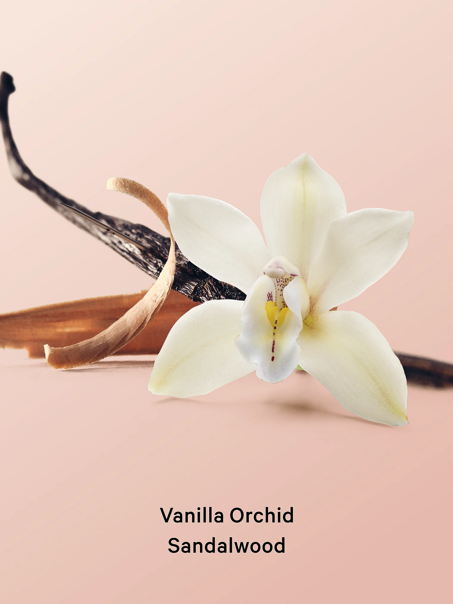 پک کادوئی Vanilla Orchid Sandalwood بادی میست و لوشن ویکتوریا سکرت - تصویر 2